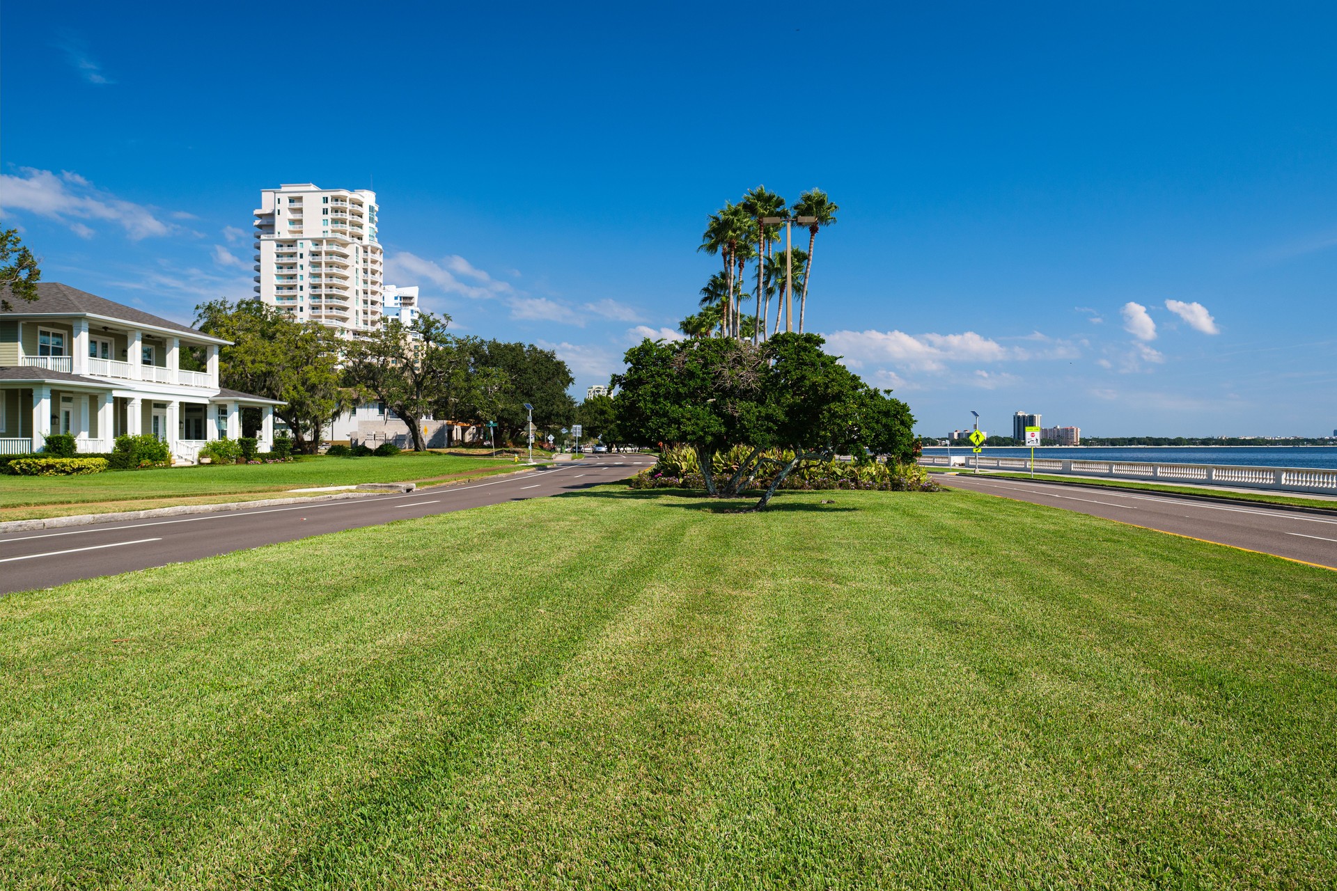 Tampa Cityscape